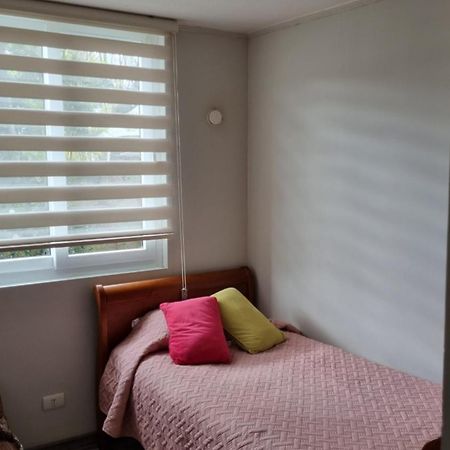 Plaza Brintrup Apartment Puerto Varas Exterior photo