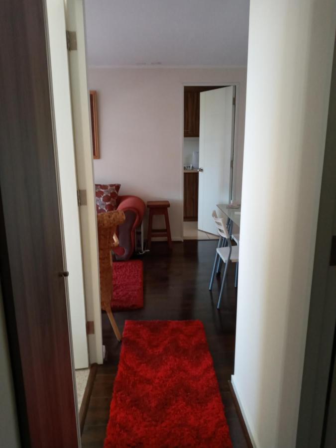 Plaza Brintrup Apartment Puerto Varas Exterior photo